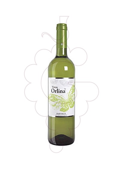 Foto Vinya Orlina Blanc vino blanco