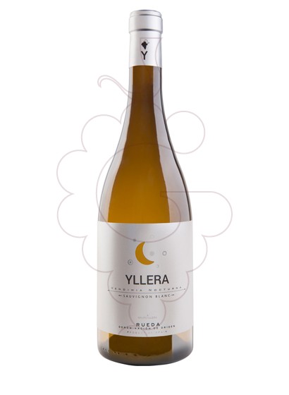 Foto Yllera Sauvignon Blanc vino blanco